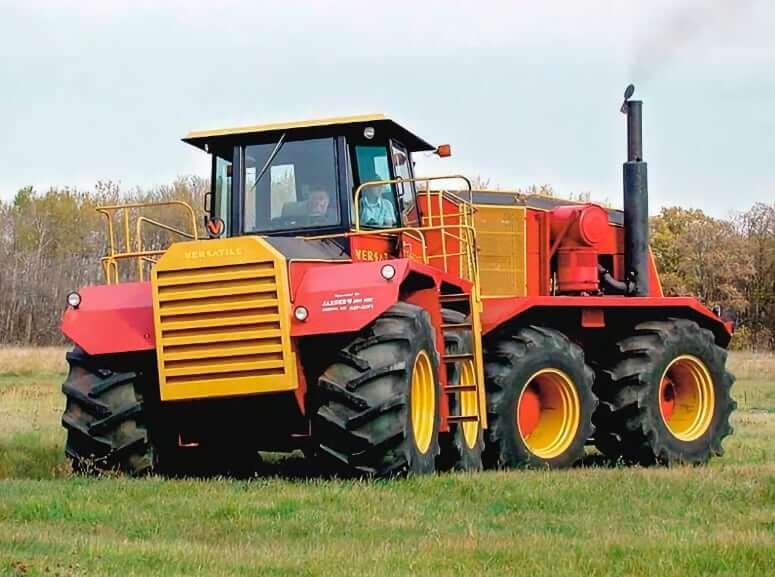 lizaro 2025.jpg
