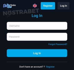 mystake 2024.jpg